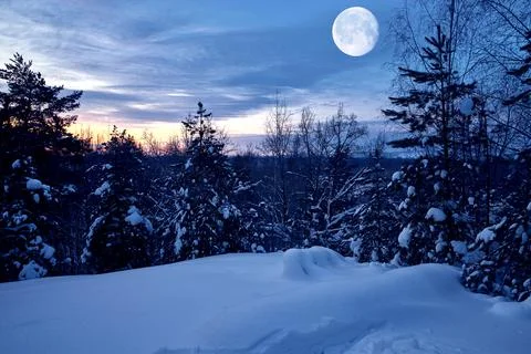 Winter forest with big moon in the sky Stock Photos