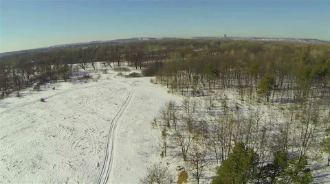 Winter forest with a bird's-eye view Stock Footage 47154256