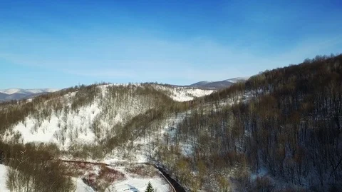 Winter forest from a bird's eye view Stockbeeldmateriaal 71126380