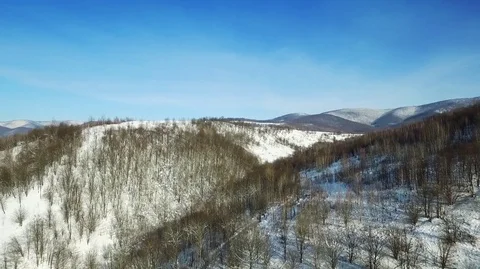 Winter forest from a bird's eye view 스톡 동영상 71126446