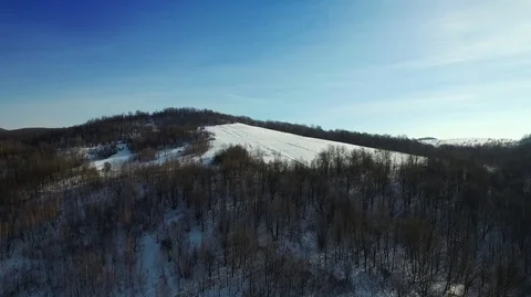 Winter forest from a bird's eye view 動画素材 71126652