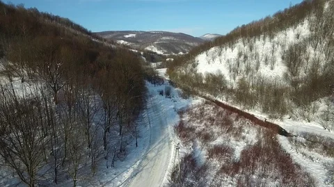 Winter forest from a bird's eye view Stockbeeldmateriaal 71126681