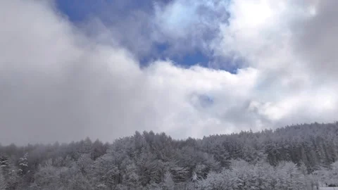Winter Forest, Blue Sky, Clouds, Snow, Aerial View│Nature Landscape Vidéo 329063179