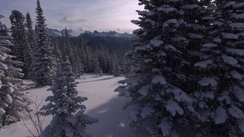 Winter forest. The camera flies between the snow-covered trees. Mountains in the Stock Footage 75047596