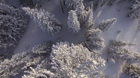 Winter forest. The camera flies over the snow-covered trees. Unusual foreshorten Video stock 75047386