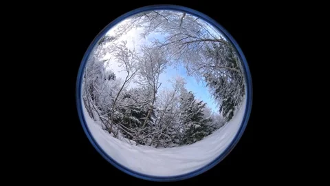 Winter forest, camera rotates from a low angle, fisheye lens Stock Footage 317715602