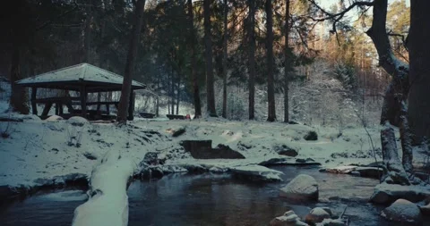 Winter Forest Campfire River Site Stock Footage 250785707