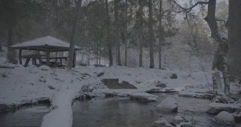 Winter Forest Campfire River Site Stock Footage 250786952