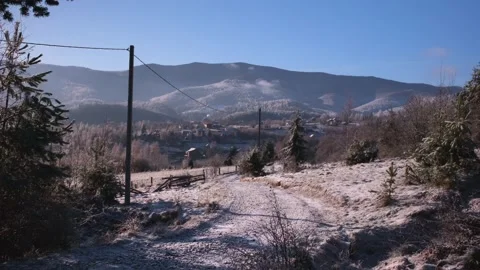Winter forest in the Carpathian mountains Stock Footage 257072973