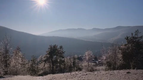 Winter forest in the Carpathian mountains Stock Footage 257073604