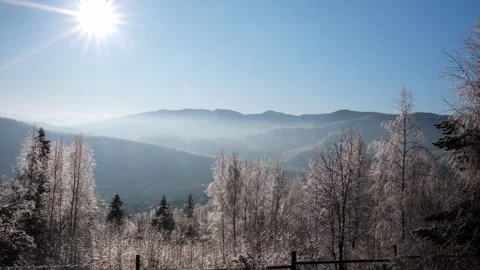 Winter forest in the Carpathian mountains Stock Footage 257073929
