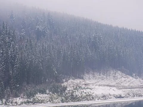 Winter forest in the Carpathians Stock Photos