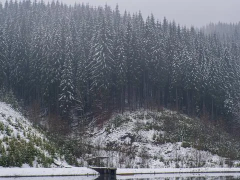 Winter forest in the Carpathians Stock Photos