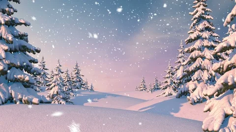 Winter Forest, Christmas Background Stock Footage 95231554