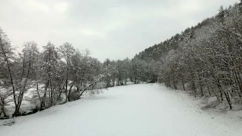 Winter forest clearing Stock Footage 231261957
