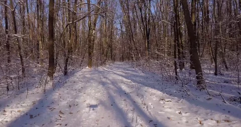 Winter forest copter Video stock 99170628