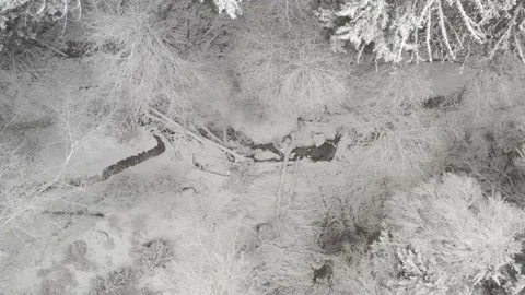 Winter forest creek camera moving down Stock Footage 146034087
