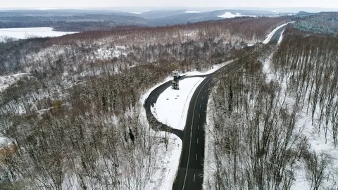 Winter forest with curvy road Stock Footage 94200707