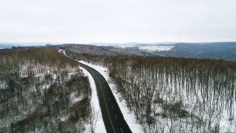 Winter forest with curvy road Video stock 94200829
