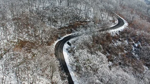 Winter forest with curvy road Video stock 94201349