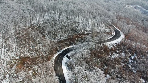 Winter forest with curvy road Stock Footage 94201415