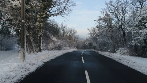 Winter forest with curvy road Stock Footage 94201688