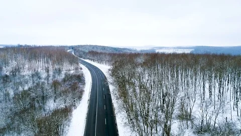 Winter forest with curvy road Stock Footage 94201690