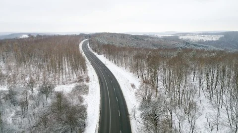 Winter forest with curvy road Stock Footage 94201849
