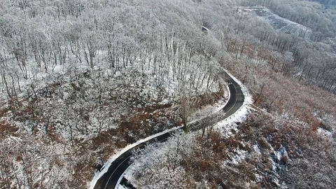Winter forest with curvy road Stock Footage 94202105