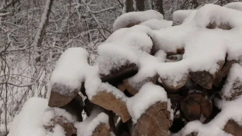 Winter forest. Drifts, snow on the branches. Many snowy trees. B Video stock 150443373