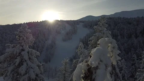 Winter forest drone 2 Stock Footage 208377372