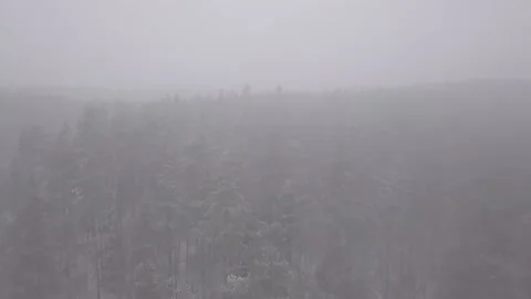Winter Forest Drone Aerial Stock-Footage 139301723