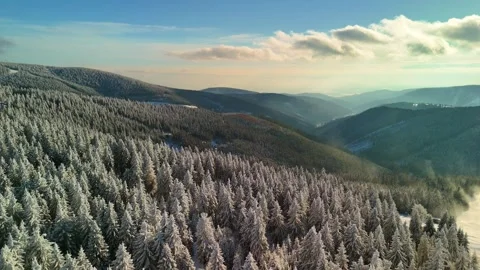 Winter Forest Drone Panorama — Czech Republic Stock Footage 325854491