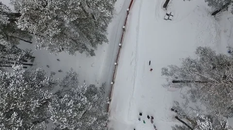 Winter forest drone. Pine in frost. Stock-Footage 77129387