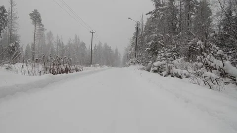 Winter forest during a heavy snowstorm and snow Stock Footage 85719852