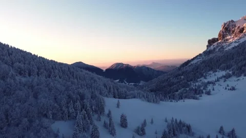 Winter forest on the edge of a rocky mountain at dusk. View from a drone, winter 動画素材 227713667