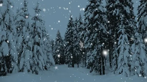 Winter forest with falling snow, stars. Christmas slow motion animation. Video stock 68488696