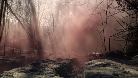 The winter forest is filled with red smoke Stock Footage 210036276