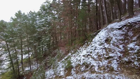 Winter forest. First snow. Tree video Stock Footage 144828252