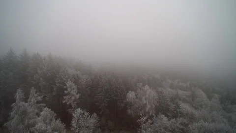 WINTER FOREST Flight from above w ice and fog, drone-shot. Stock Footage 100918339