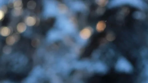 Winter forest - fluffy snow on the branches of coniferous trees. Stock-Footage 146539063