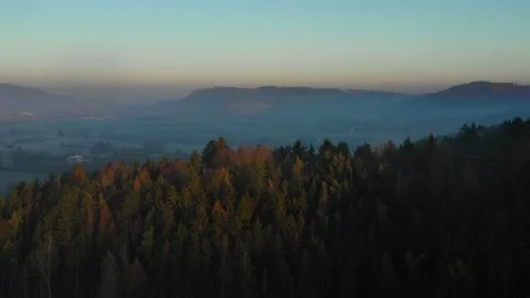Winter forest flyover at sunrise Stock Footage 146034073