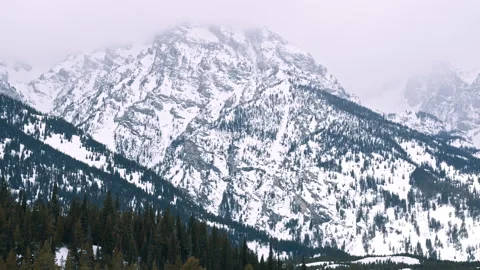Winter Forest At The Foot Of High Peaks Stock Footage 313483387