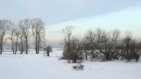 Winter forest Stock Footage 21624552