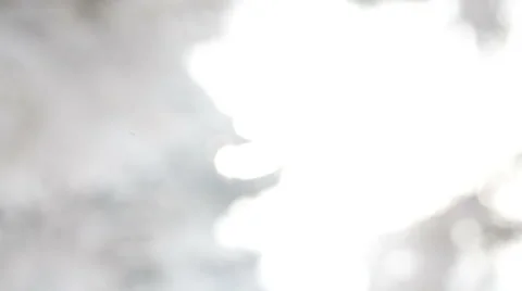 Winter forest Vídeos de archivo 47347640