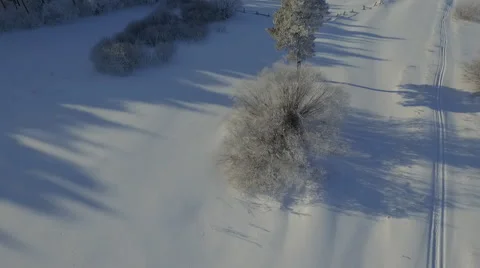 Winter forest Stock Footage 61068102