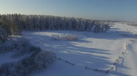 Winter forest Stock Footage 61068895