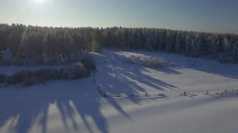 Winter forest Stock Footage 61069073