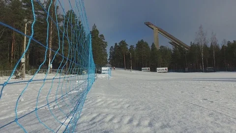 Winter Forest 库存影片 81863221