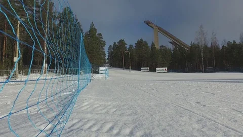 Winter Forest 库存影片 81863399